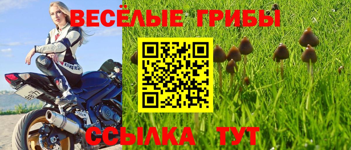 Галлюциногенные грибы мицелий  Вход с VPN  Галлюциногенные грибы Cubensis  Тавда 