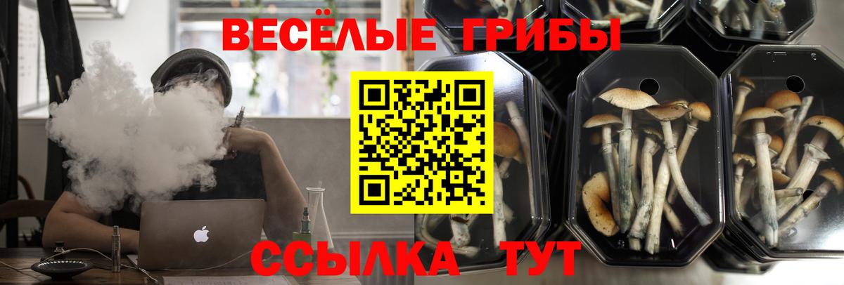 Псилоцибиновые грибы MAGIC MUSHROOMS Тавда